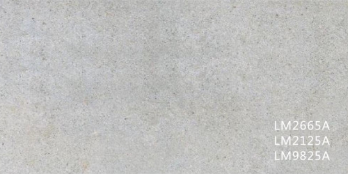 LM2665A