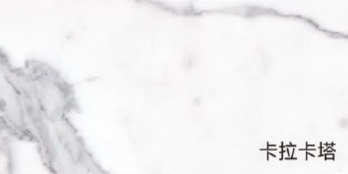 PT2120A