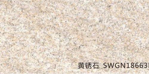 SWGN18663LZ